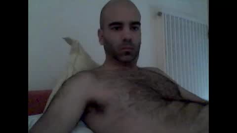 Snapshot of bear14250949 chatting on 19, 10, 2025 bear14250949 online show from 19, 10, 2025