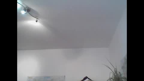 Snapshot of bear14250949 chatting on 2, 11, 2025 bear14250949 online show from 2, 11, 2025