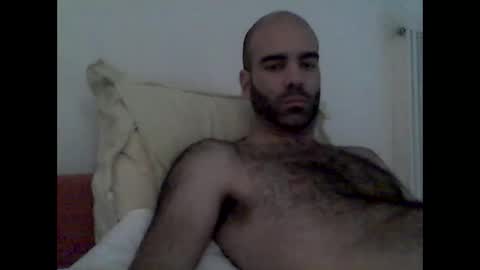 Snapshot of bear14250949 chatting on 16, 11, 2025 bear14250949 online show from 16, 11, 2025