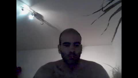 Snapshot of bear14250949 chatting on 21, 12, 2025 bear14250949 online show from 21, 12, 2025