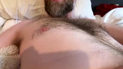 Snapshot of beard_papa chatting on 20, 4, 2026 beard_papa online show from 20, 4, 2026
