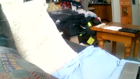 Snapshot of beardbushy chatting on 1, 12, 2024 beardbushy online show from 1, 12, 2024