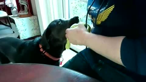 Beardman online show from 7, 4, 2026