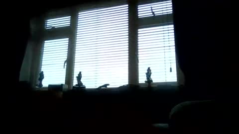 Snapshot of becky273622 chatting on 10, 11, 2025 becky273622 online show from 10, 11, 2025