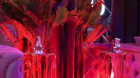 Snapshot of bellanoirre chatting on 9, 2, 2026 Bella online show from 9, 2, 2026