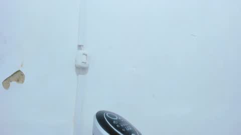 Snapshot of bellota_flak chatting on 14, 12, 2024 Bellota Flak online show from 14, 12, 2024