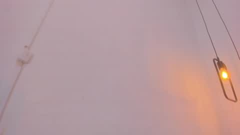 Snapshot of bellota_flak chatting on 28, 12, 2024 Bellota Flak online show from 28, 12, 2024