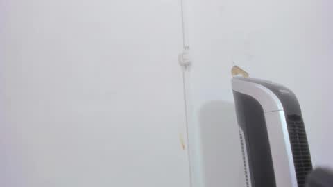 Snapshot of bellota_flak chatting on 30, 12, 2024 Bellota Flak online show from 30, 12, 2024