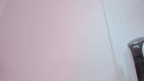 Snapshot of bellota_flak chatting on 13, 12, 2025 Bellota Flak online show from 13, 12, 2025