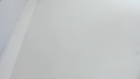 Snapshot of bellota_flak chatting on 15, 12, 2025 Bellota Flak online show from 15, 12, 2025