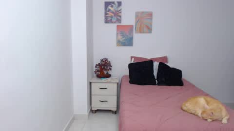 Snapshot of benny_austin chatting on 29, 1, 2025 benny online show from 29, 1, 2025