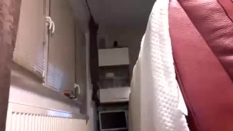 Benutzmich0800 online show from 14, 2, 2026