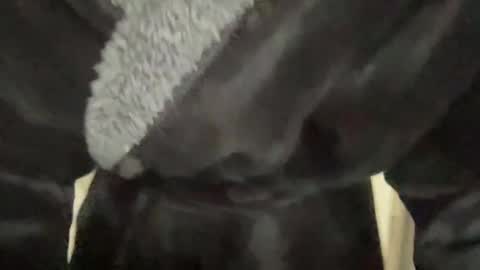 Snapshot of benwardle123 chatting on 7, 3, 2025 READ MY BIO ---  --- READ MY BIO online show from 7, 3, 2025