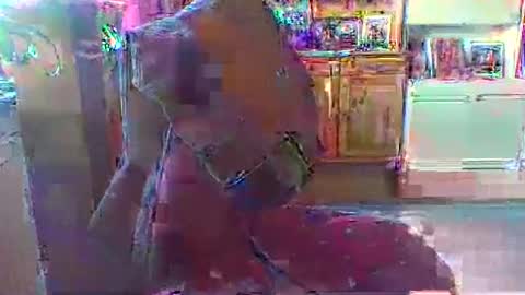 bestmann979994 online show from 1, 3, 2026