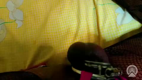 Snapshot of betaofbonnyp chatting on 13, 9, 2025 Sissyforever online show from 13, 9, 2025