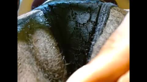 Bethany Wilson online show from 21, 2, 2025