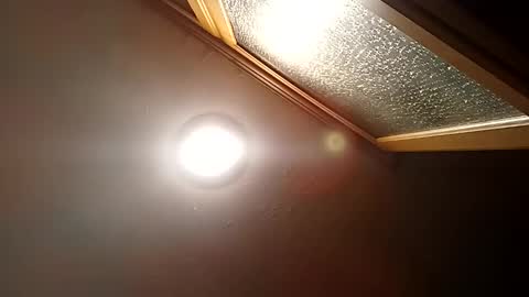 bgiamba21 online show from 29, 10, 2025