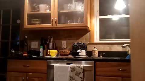 bgiamba21 online show from 23, 11, 2025