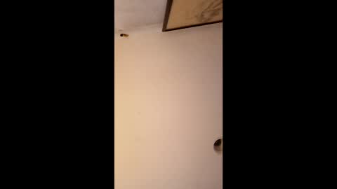 bgiamba21 online show from 12, 1, 2026