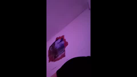 bgiamba21 online show from 7, 2, 2026