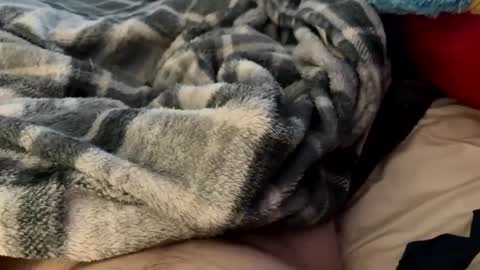 bi_guy_1993 online show from 24, 2, 2025