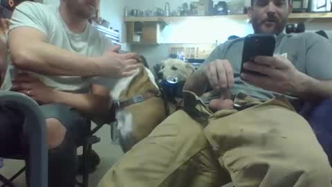 Snapshot of bicboy007 chatting on 8, 3, 2025 bicboy007 online show from 8, 3, 2025