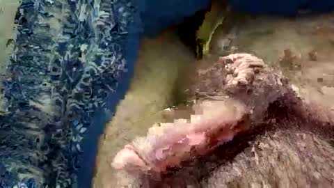 Snapshot of big88385909 chatting on 20, 11, 2025 big88385909 online show from 20, 11, 2025