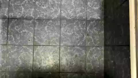 bigass_fag online show from 5, 10, 2025