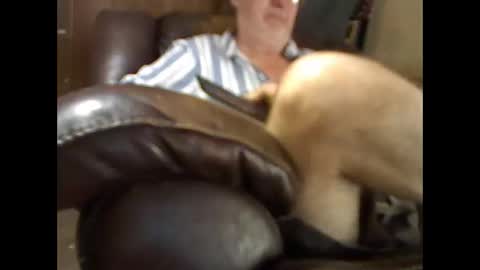 Snapshot of bigbenidick1 chatting on 26, 11, 2025 BB online show from 26, 11, 2025