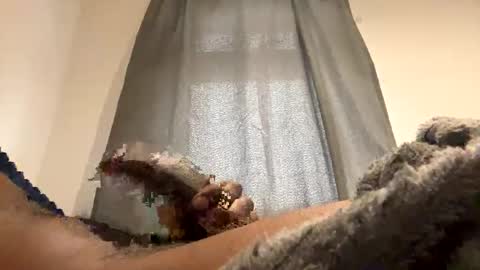 BigBlackCock online show from 24, 12, 2024