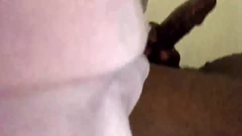 BigBlackCock online show from 1, 8, 2026
