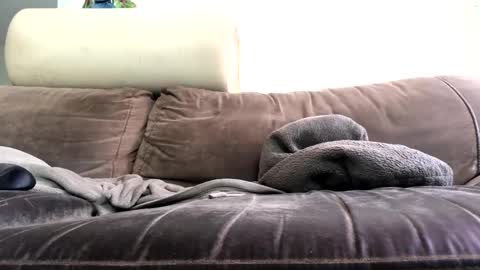 Snapshot of bigboadick chatting on 31, 10, 2025 bigboadick online show from 31, 10, 2025