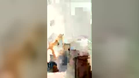 bigboyslut4900 online show from 3, 8, 2026