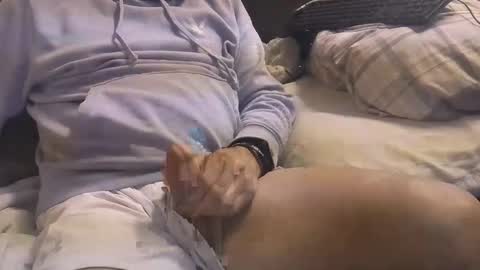 L e g a l    S t u f f Any UNAUTHORIZED use of this profile video pictures or audio in any form or in a forum now or in the fu online show from 3, 3, 2025