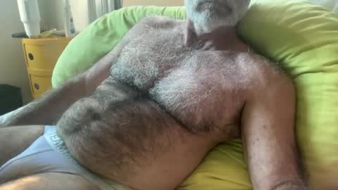 Snapshot of bigbush1 chatting on 24, 6, 2026 big bush online show from 24, 6, 2026