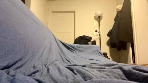 Snapshot of bigbuster685 chatting on 19, 11, 2025 Buster685 online show from 19, 11, 2025