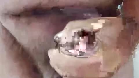 bigdforfun2nite online show from 15, 10, 2025