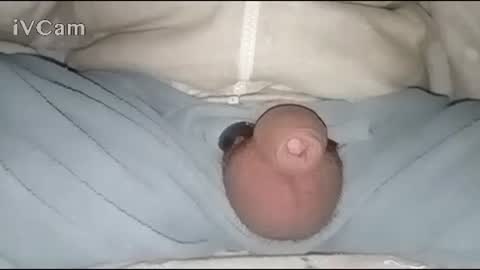 Snapshot of bigdick666cm chatting on 30, 1, 2025 Big online show from 30, 1, 2025