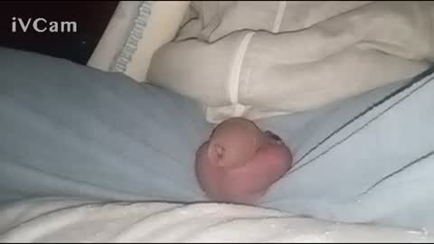 Snapshot of bigdick666cm chatting on 2, 2, 2025 Big online show from 2, 2, 2025