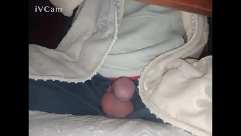 Snapshot of bigdick666cm chatting on 12, 2, 2025 Big online show from 12, 2, 2025