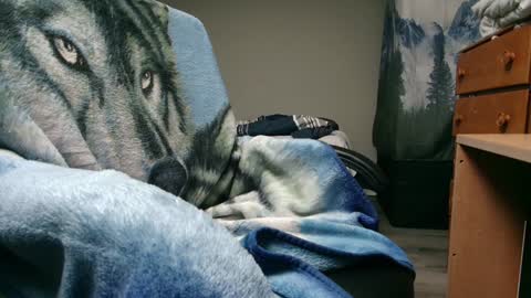 George Forest Dickyduby on all Socials online show from 9, 12, 2024