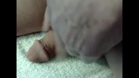 bigdipper58 online show from 23, 2, 2025