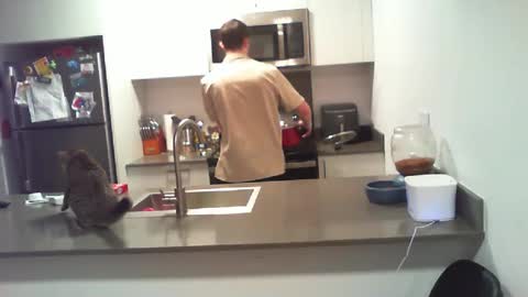 Snapshot of bigdog_112 chatting on 1, 10, 2025 BigWilly online show from 1, 10, 2025