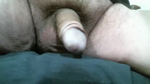 Snapshot of bigdoglog chatting on 26, 3, 2026 BigDog online show from 26, 3, 2026