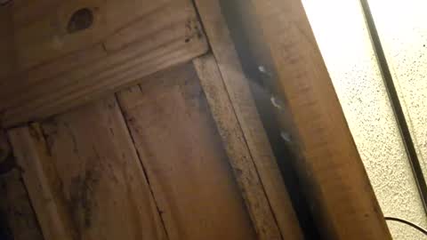 Snapshot of bigeallnight chatting on 12, 2, 2025 bigeallnight online show from 12, 2, 2025