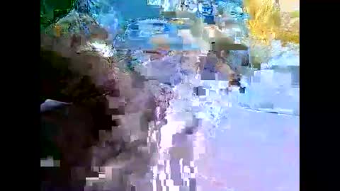 Snapshot of bigfatarabzobrr1994__ chatting on 11, 12, 2024 Mr Alpha online show from 11, 12, 2024