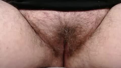 Snapshot of bighairyabby chatting on 28, 2, 2026 Abby online show from 28, 2, 2026