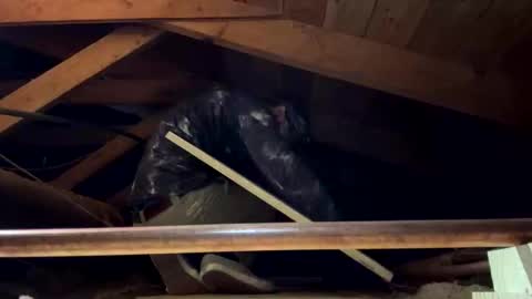 bigjim6646 online show from 21, 9, 2025