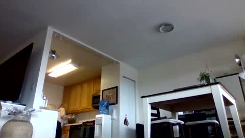 Snapshot of bigjoed233 chatting on 10, 1, 2026 bigjoed233 online show from 10, 1, 2026