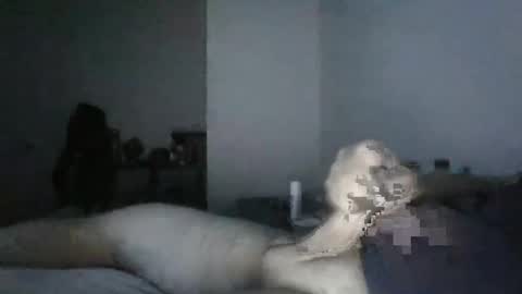 BigO online show from 19, 12, 2024